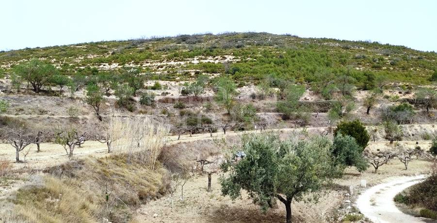 Venta - Finca - Penáguila