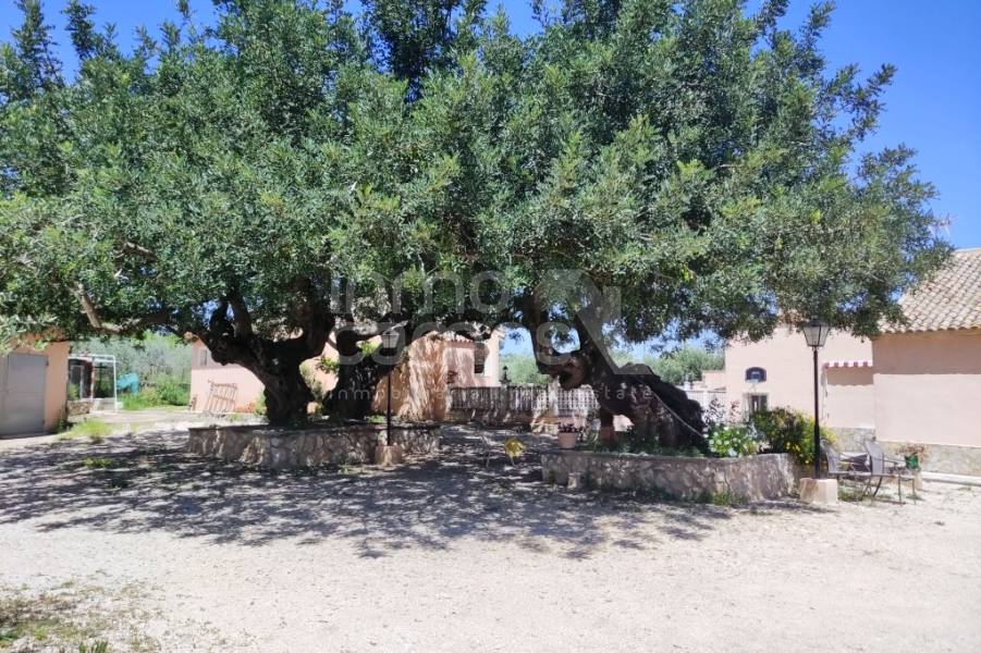 Te koop - Landhuis - Ontinyent