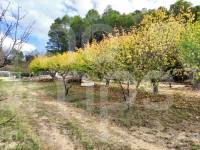 Venta - Casa de Campo - Planes