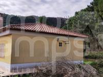 For sale - Country House - Villalonga