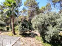 Venta - Casa de Campo - Villalonga