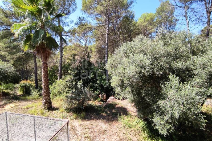 Venta - Casa de Campo - Villalonga