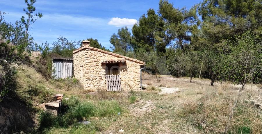 For sale - Rustic Land - Penáguila