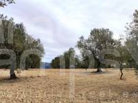 For sale - Rustic Land - Penáguila