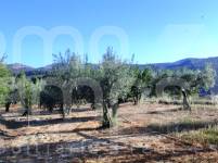 Te koop - Landhuis - Benasau