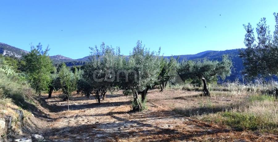 Te koop - Landhuis - Benasau