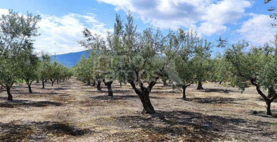 Venta - Casa de Campo - Alcoy