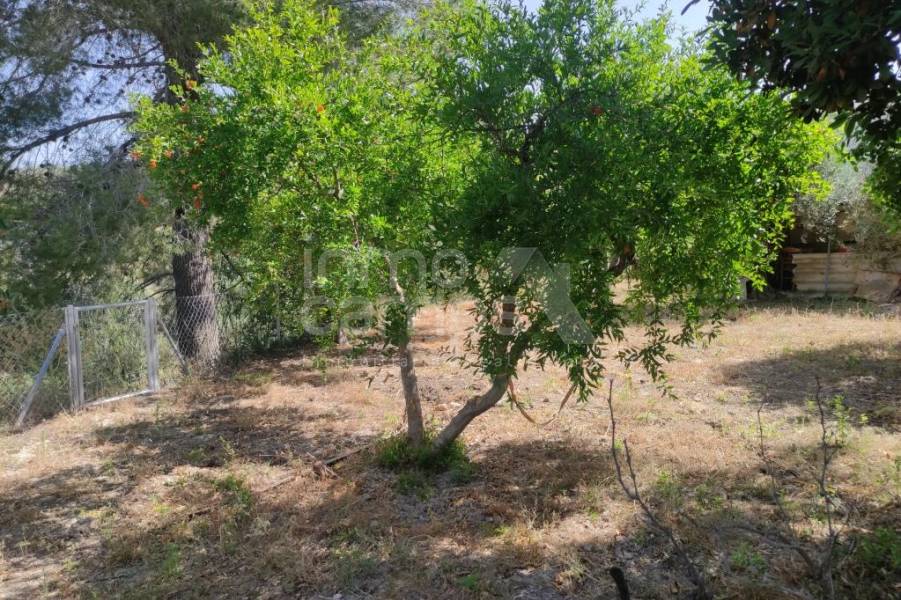 For sale - Country House - Benillup