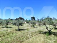 Te koop - Landhuis - Ontinyent