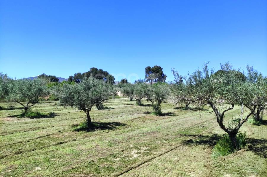 Te koop - Landhuis - Ontinyent
