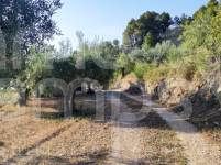 Te koop - Landhuis - Benasau