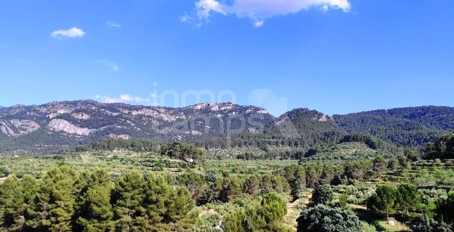 For sale - Finca - Bocairent