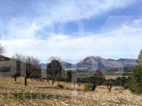 Venta - Finca - Torremanzanas