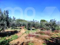 Te koop - Landhuis - Ontinyent