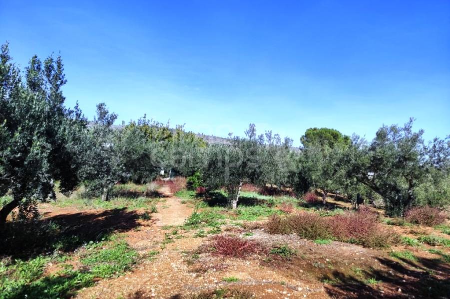 Te koop - Landhuis - Ontinyent