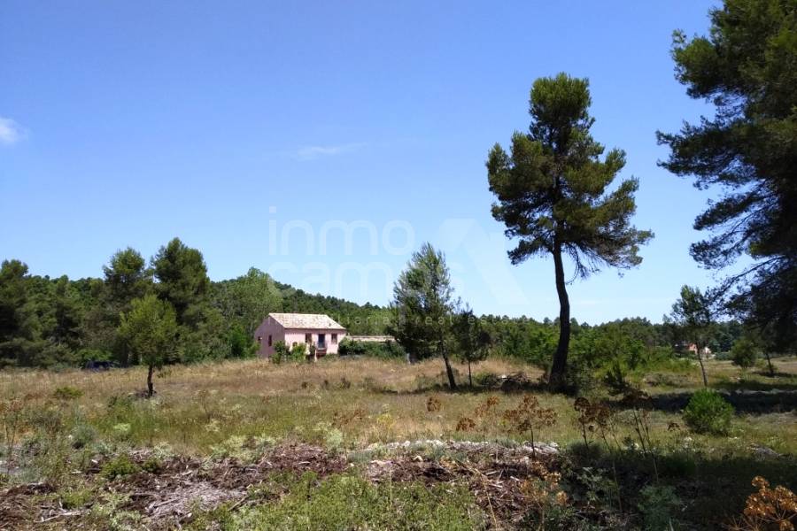 Venta - Finca - Bocairent
