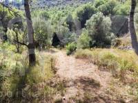 Venta - Casa de Campo - Villalonga