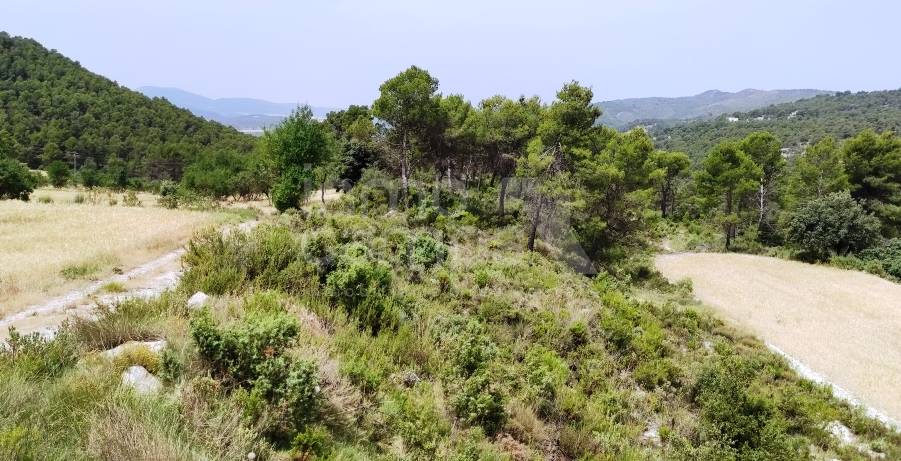 Venta - Finca - Alcoy