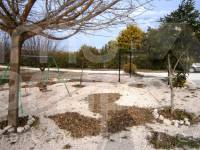 Venta - Casa de Campo - Ontinyent