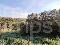 For sale - Finca - Bocairent