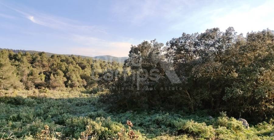 For sale - Finca - Bocairent