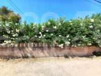 For sale - Villa - Denia