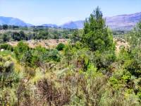 Venta - Parcela Rústica - Planes