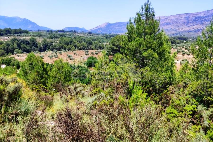 Venta - Parcela Rústica - Planes