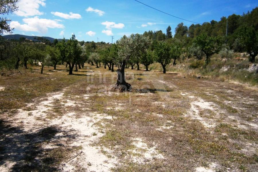 Venta - Casa de Campo - Penáguila