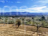 For sale - Country House - Gaianes