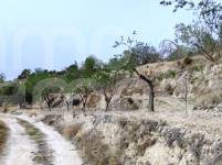 Venta - Finca - Penáguila