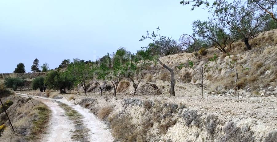 Te koop - Finca - Penáguila