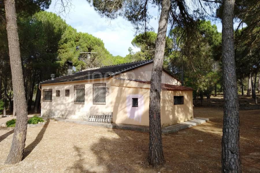 Venta - Casa de Campo - Bocairent