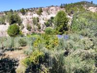 Te koop - Landhuis - Cocentaina