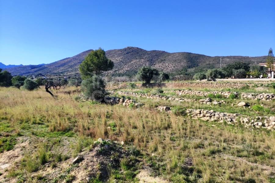 For sale - Rustic Land - Benissa