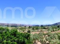 Venta - Finca - Bocairent