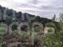 Venta - Finca - Bocairent