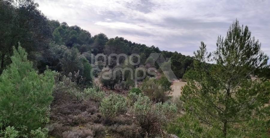 Venta - Finca - Bocairent