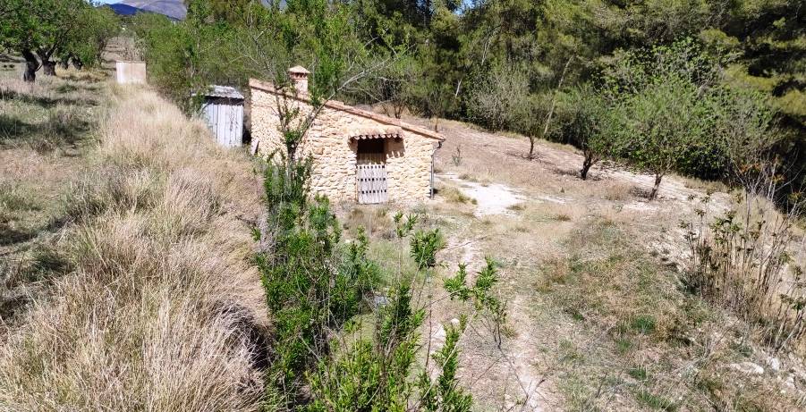 For sale - Rustic Land - Penáguila