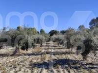 Venta - Finca - Bocairent