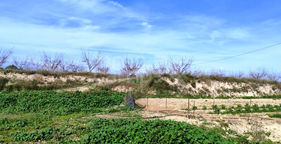 Venta - Finca - Albaida