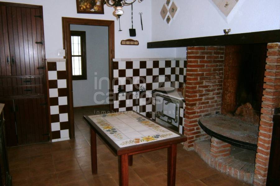 Venta - Finca - Ontinyent