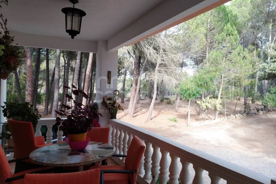Venta - Casa de Campo - Bocairent