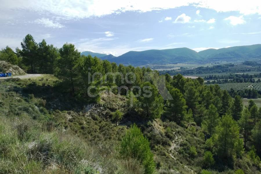 Venta - Finca - Benilloba