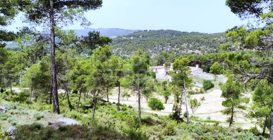Venta - Finca - Alcoy