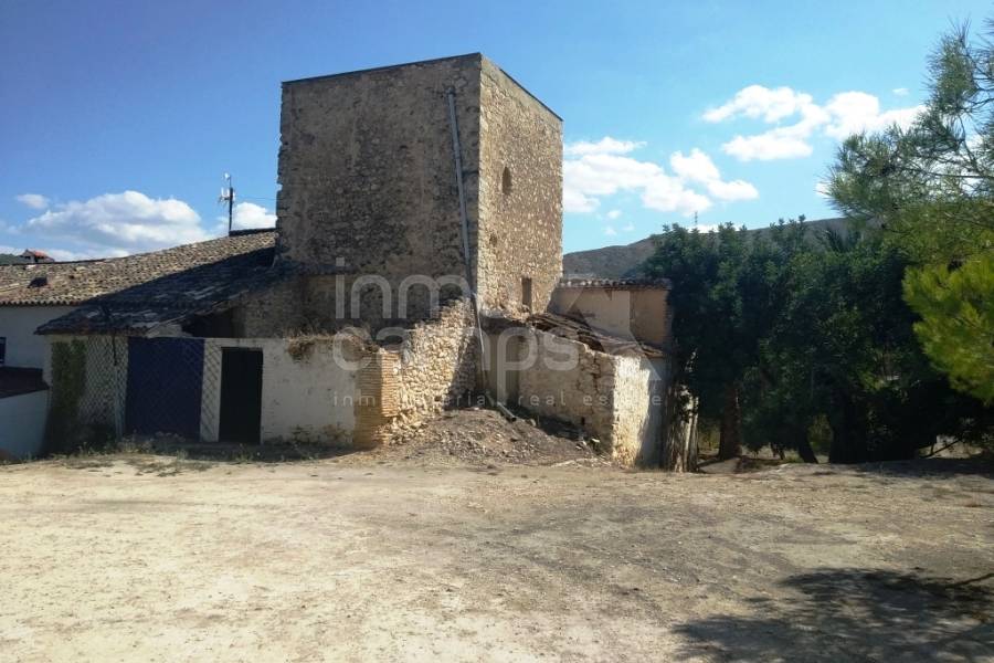 Te koop - Finca - Ontinyent