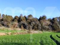 For sale - Finca - Bocairent