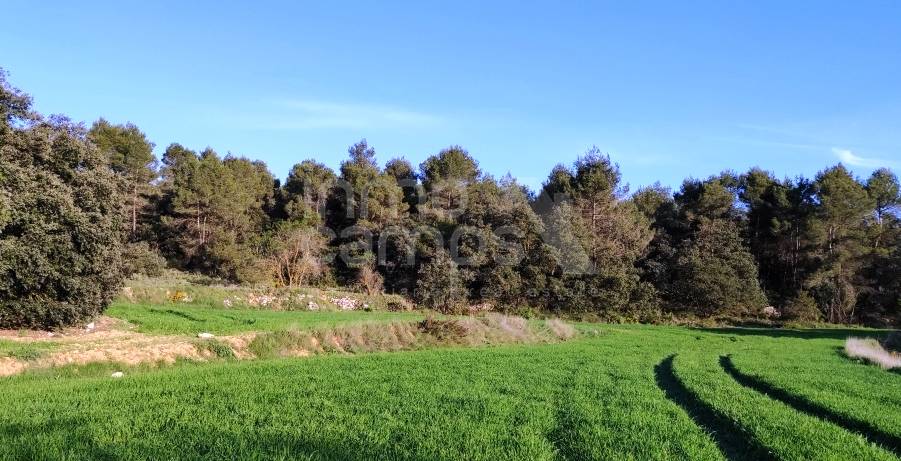 For sale - Finca - Bocairent