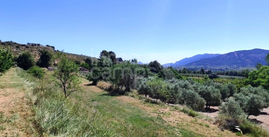 Te koop - Finca - Bocairent