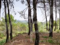 Venta - Finca - Alcoy